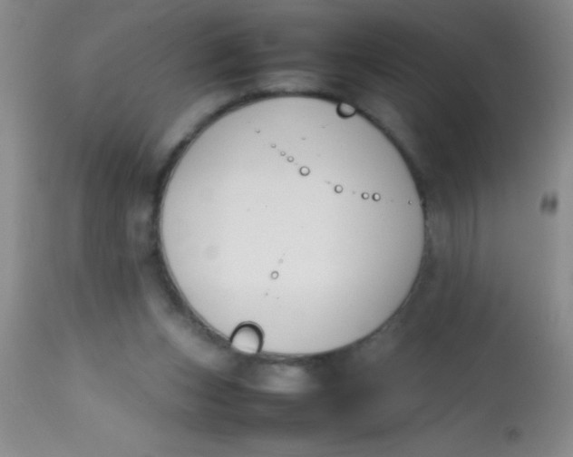 X0000113870159200910151310