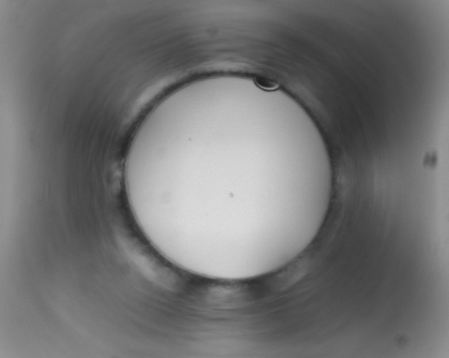 X0000113870160200910151310