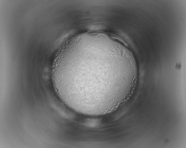 X0000113870161200910151310