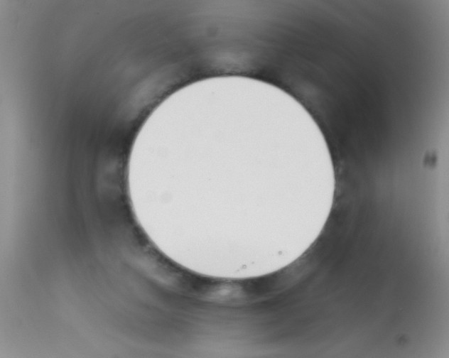 X0000113870162200910151310