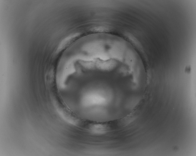 X0000113870163200910151310