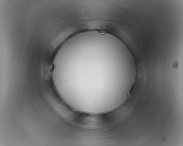 X0000113870164200910151310