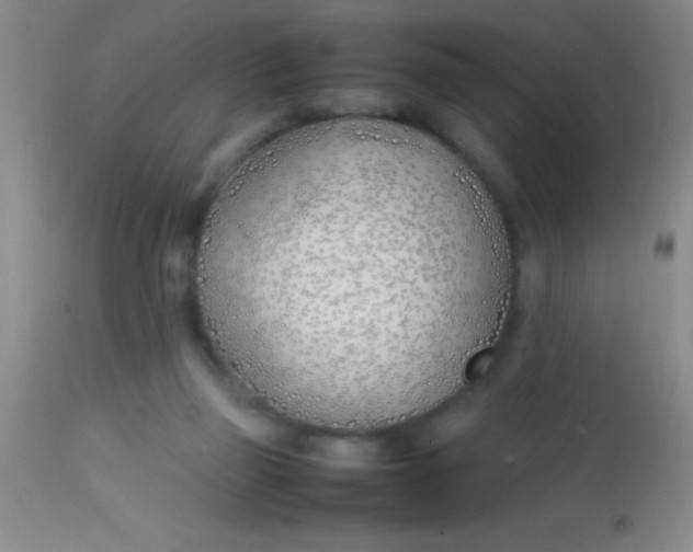 X0000113870165200910151310