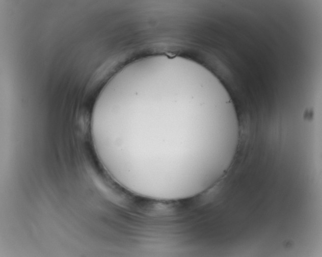 X0000113870166200910151310