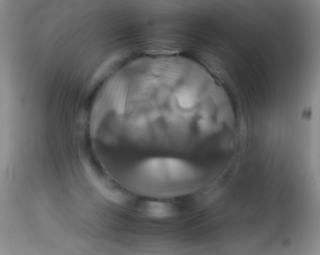 X0000113870167200910151310