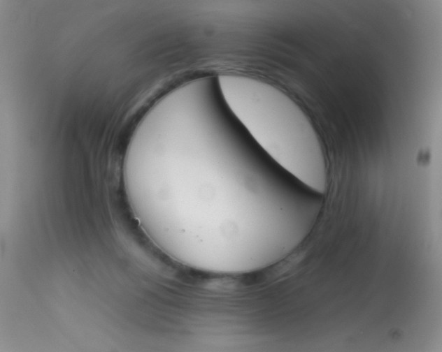 X0000113870168200910151310