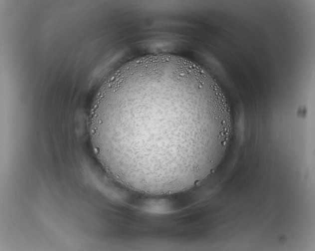 X0000113870169200910151310