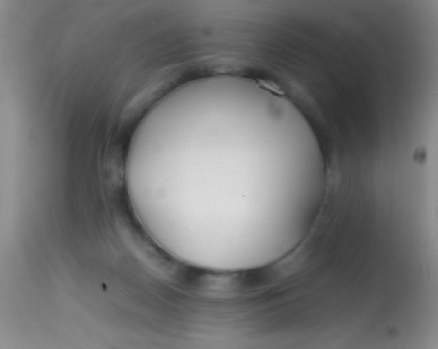 X0000113870170200910151310