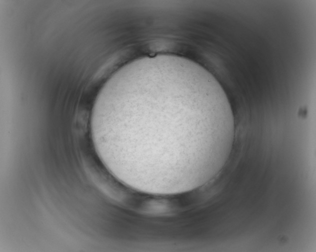 X0000113870171200910151310