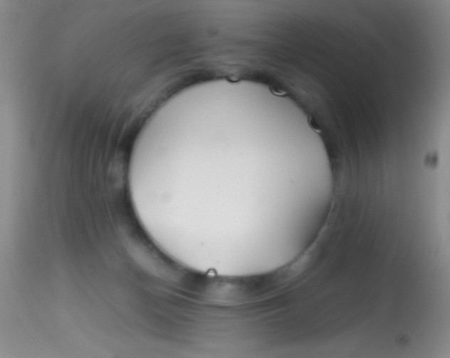 X0000113870174200910151310