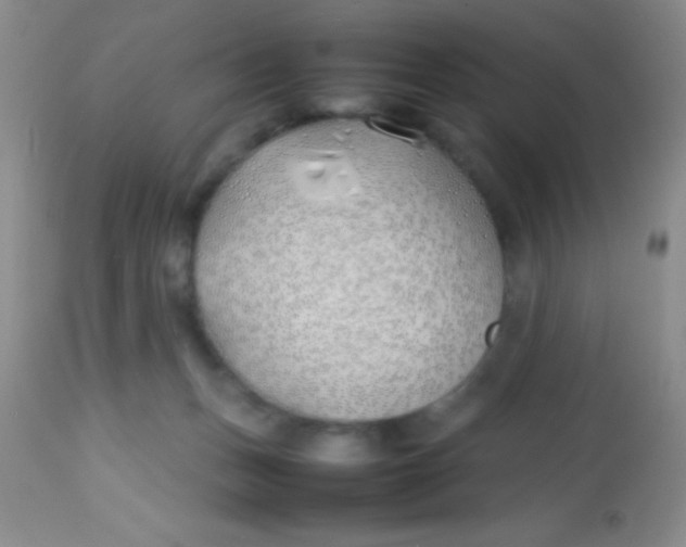 X0000113870175200910151310