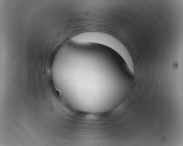 X0000113870176200910151310