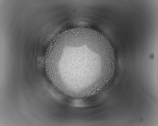 X0000113870177200910151310