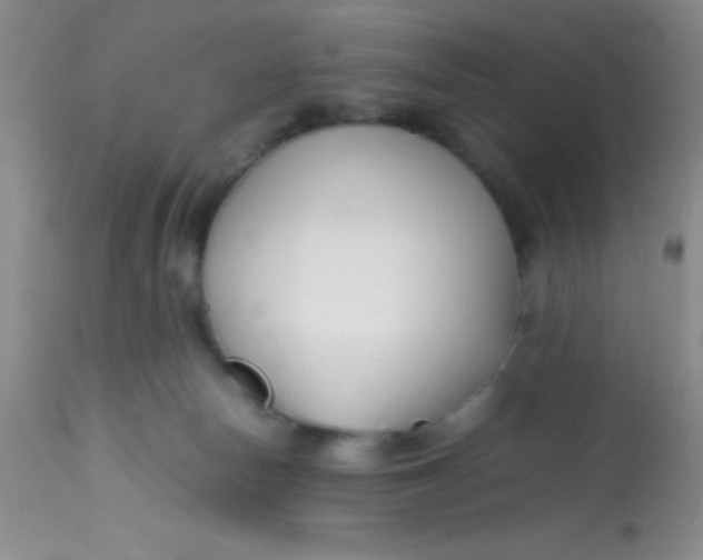 X0000113870178200910151310