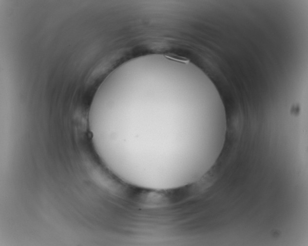 X0000113870180200910151310