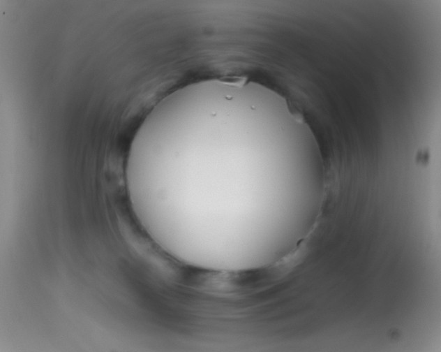 X0000113870182200910151310