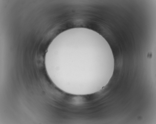 X0000113870183200910151310