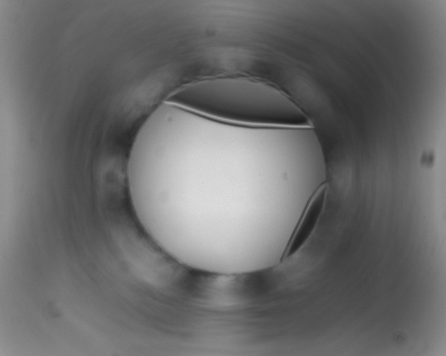 X0000113870184200910151310