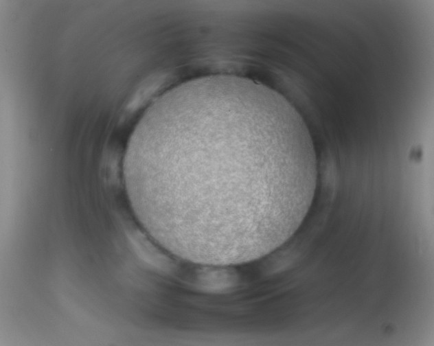 X0000113870185200910151310