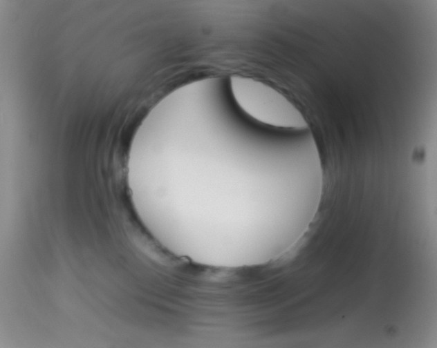 X0000113870186200910151310