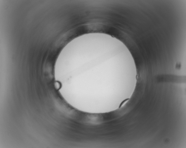 X0000113870187200910151310