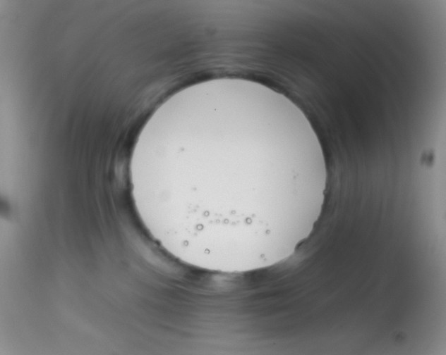 X0000113870188200910151310