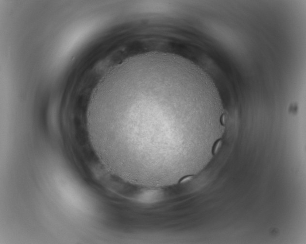 X0000113870189200910151310