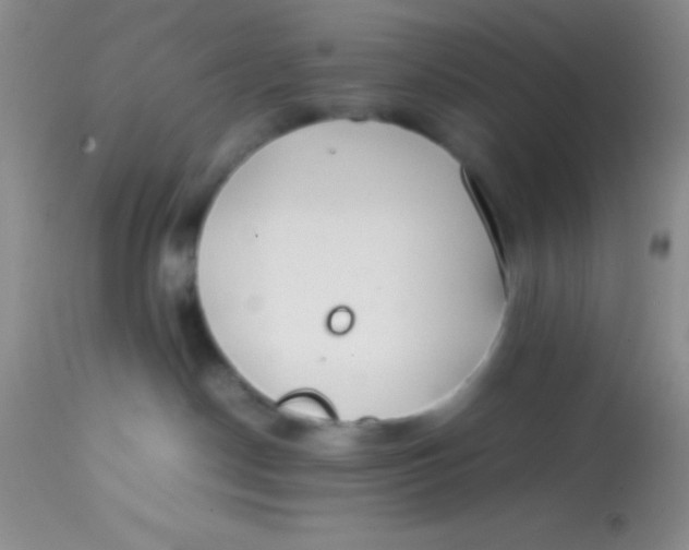 X0000113870190200910151310