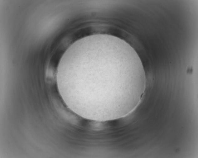 X0000113870191200910151310