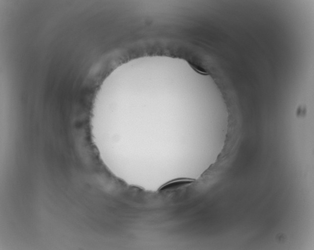 X0000113870192200910151310