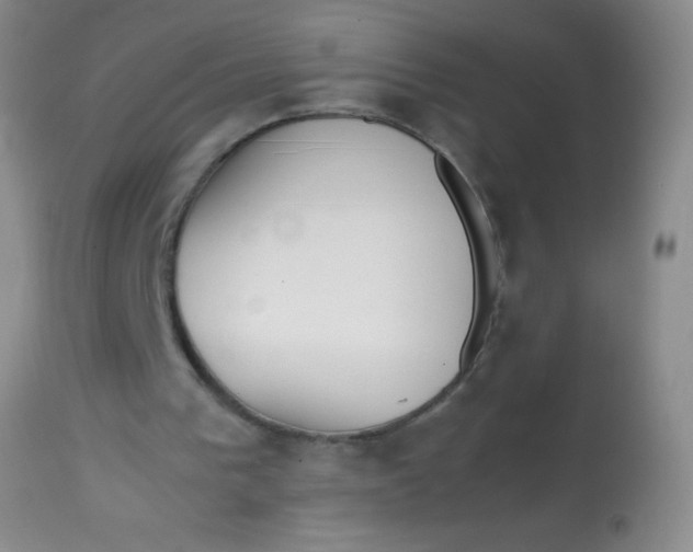 X0000113870193200910151309