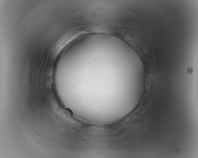 X0000113870194200910151309