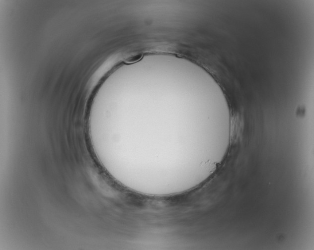 X0000113870195200910151309