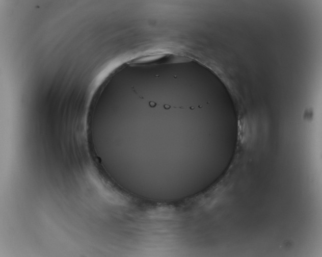 X0000113870196200910151309