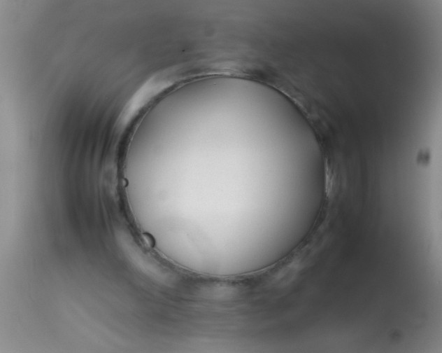 X0000113870198200910151309