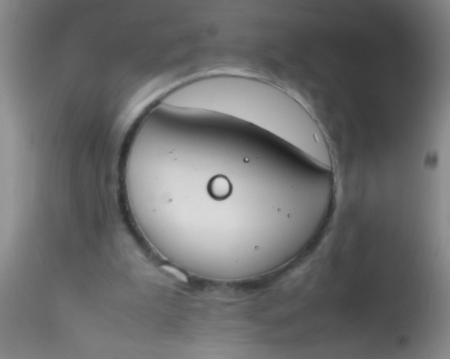 X0000113870199200910151309