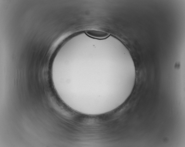 X0000113870200200910151309