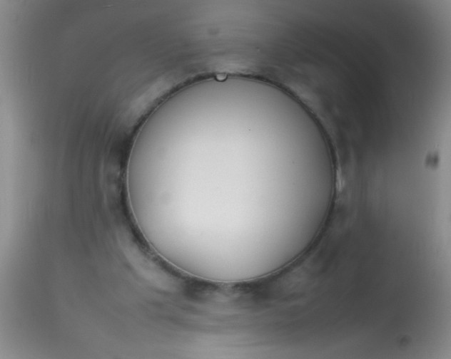 X0000113870201200910151309