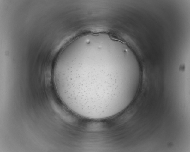 X0000113870202200910151309