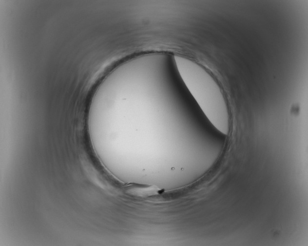 X0000113870203200910151309