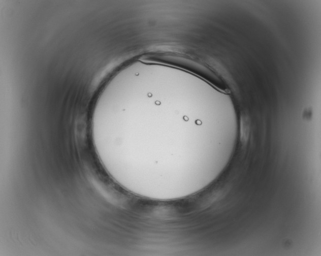 X0000113870204200910151309