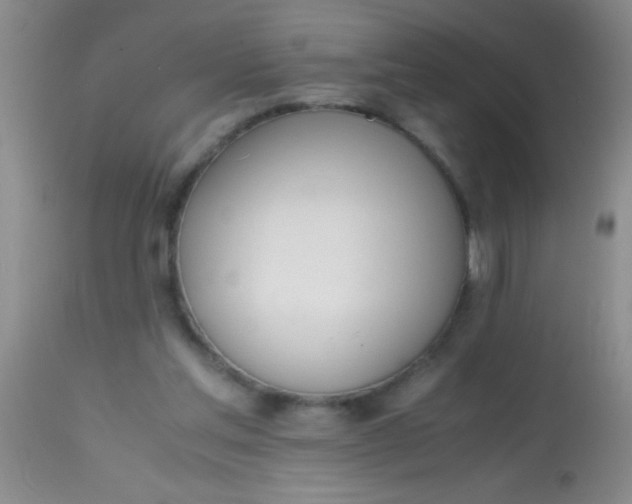 X0000113870205200910151309