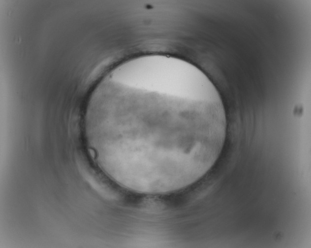 X0000113870207200910151309