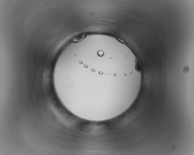 X0000113870208200910151309