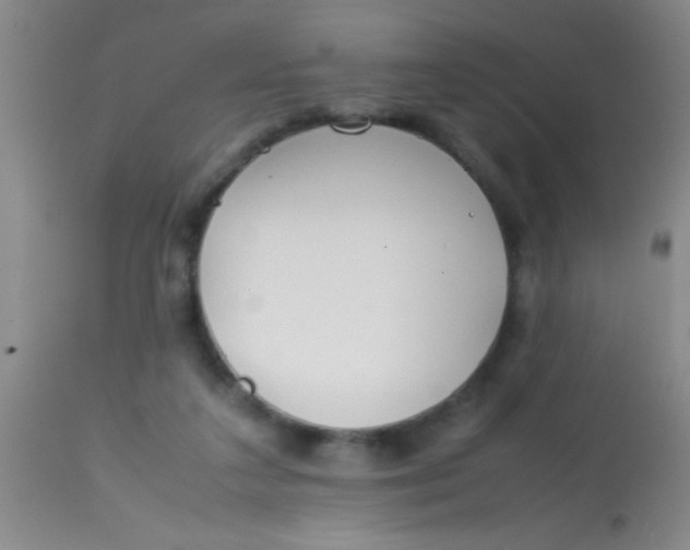 X0000113870211200910151309