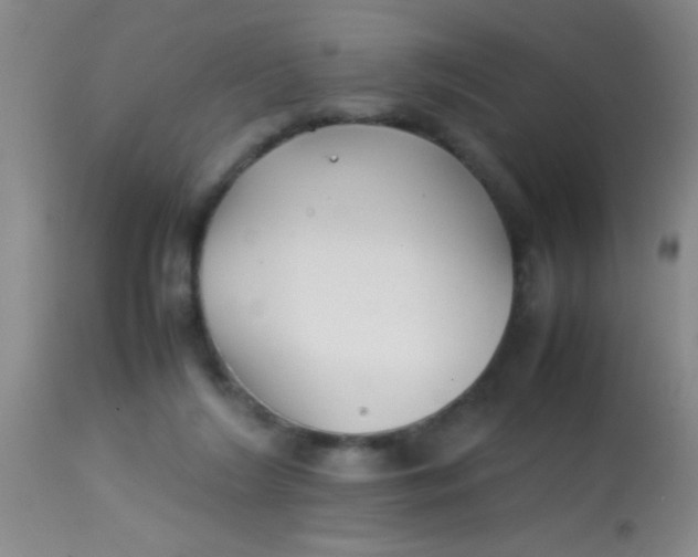 X0000113870212200910151309