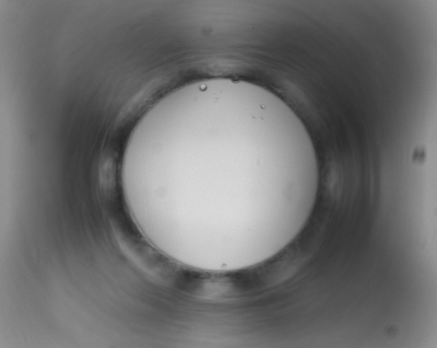 X0000113870214200910151309