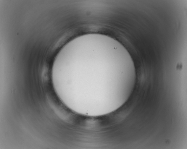 X0000113870216200910151309