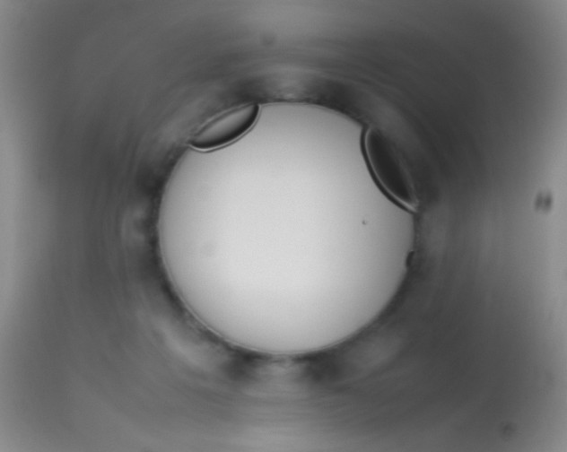 X0000113870217200910151309