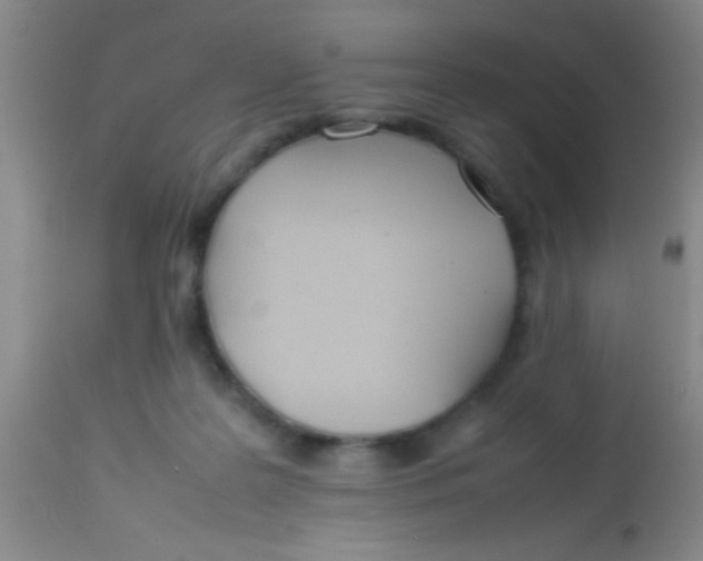 X0000113870219200910151309